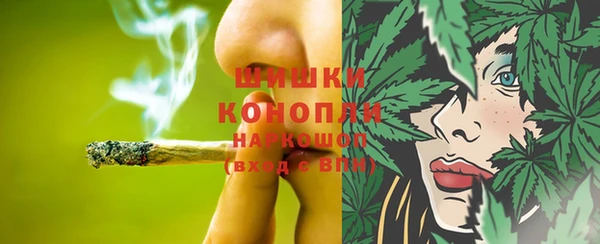 мдпв Горно-Алтайск