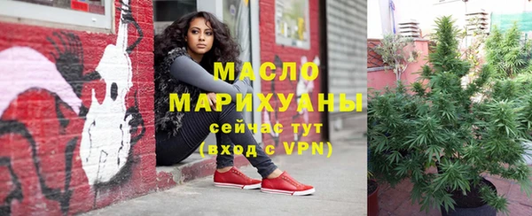 тгк Гусь-Хрустальный
