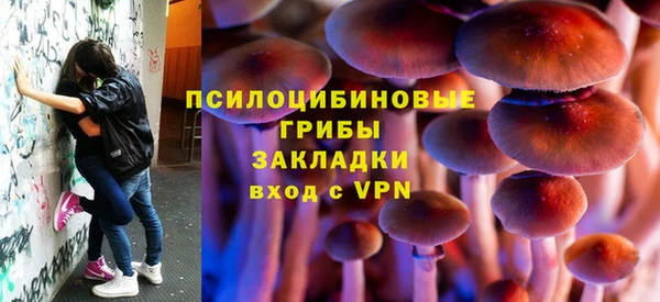 тгк Гусь-Хрустальный