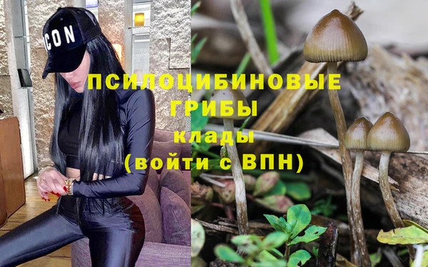 тгк Вязьма