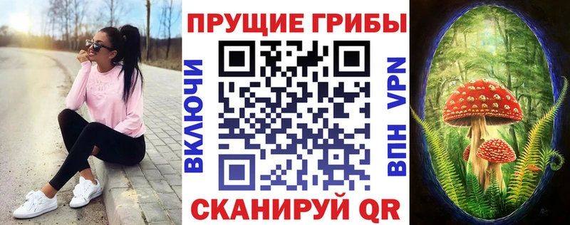 KRAKEN зеркало  Прокопьевск  Галлюциногенные грибы GOLDEN TEACHER 
